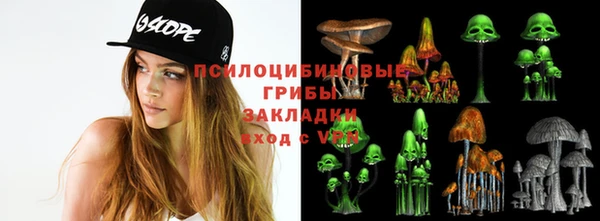 круглые Горно-Алтайск