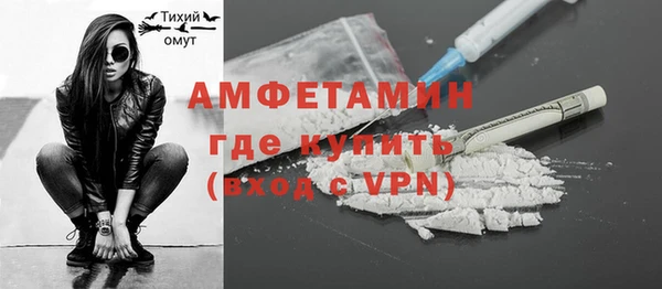 ГАЛЛЮЦИНОГЕННЫЕ ГРИБЫ Горняк