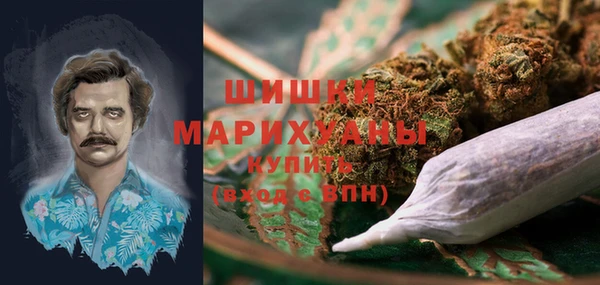 ГАЛЛЮЦИНОГЕННЫЕ ГРИБЫ Горняк