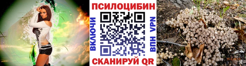 Купить закладки  Карабаново  Галлюциногенные грибы мицелий 